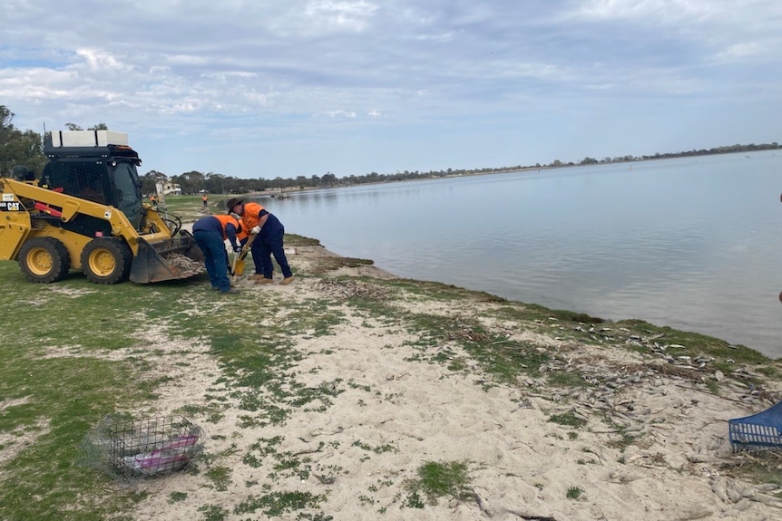 Two men in fluro clothing with shovels next to a excavator on a sandy lake bank.