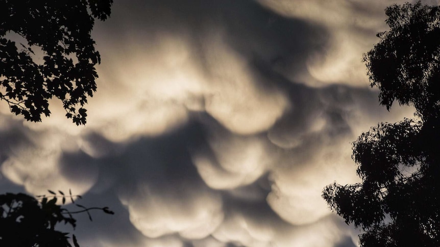 mammatus cloud