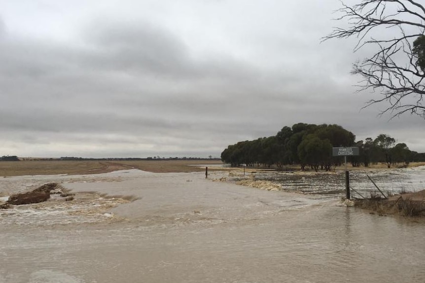 A photo of heavy rain at a farm at South Kummunin in the Wheatbelt region.