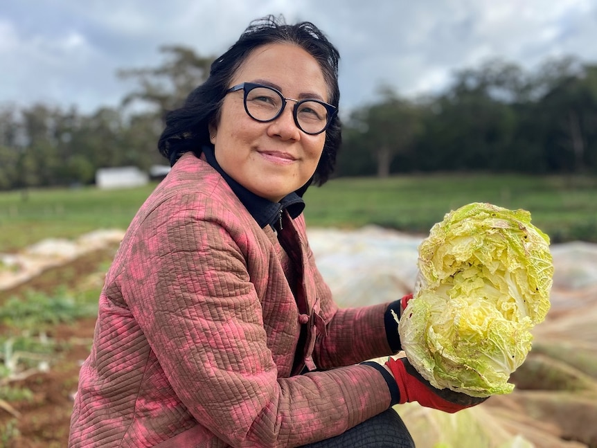 A woman with a green cabbage in her hand on a farm, she is wearing a red jacket with brown spots and black framed glasses.