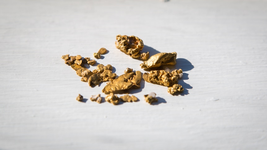 A collection of gold nuggets which were discovered with the help of a metal detector in Tasmania.