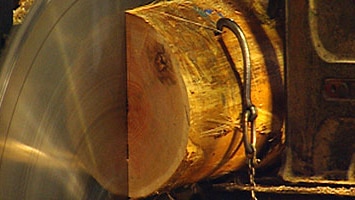An electric saw going through a log