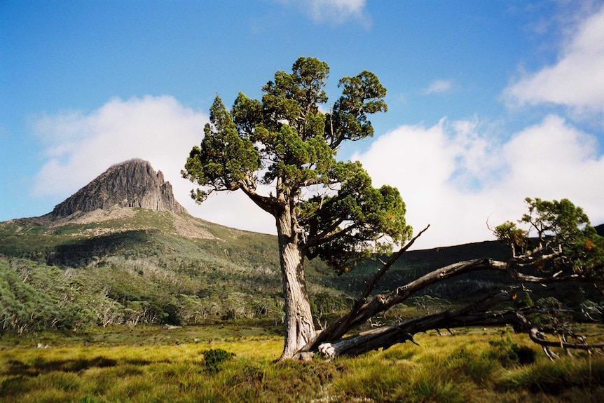 Cradle Mountain Lake St Clair National Park, Tasmania.