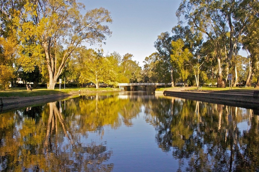 A wide river with trees on either side.