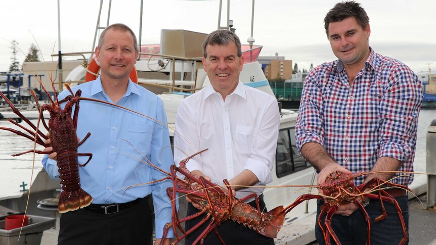 Three men in shirts hold rock lobsters up while standing in front of a boat.