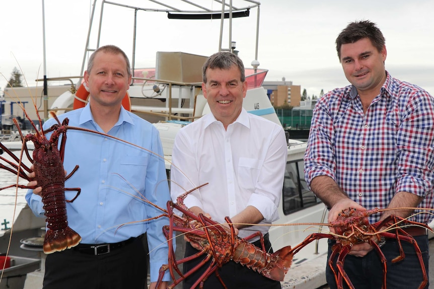 Three men stand together holding large lobsters.
