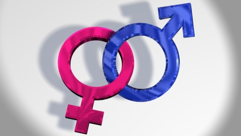 Gender symbols (Getty Images: iStockphoto)