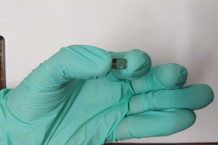 A gloved hand holding a tiny sensor