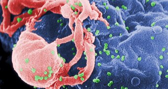 A graphic of antibodies from HIV patients whose immune systems attacked many strains of the virus