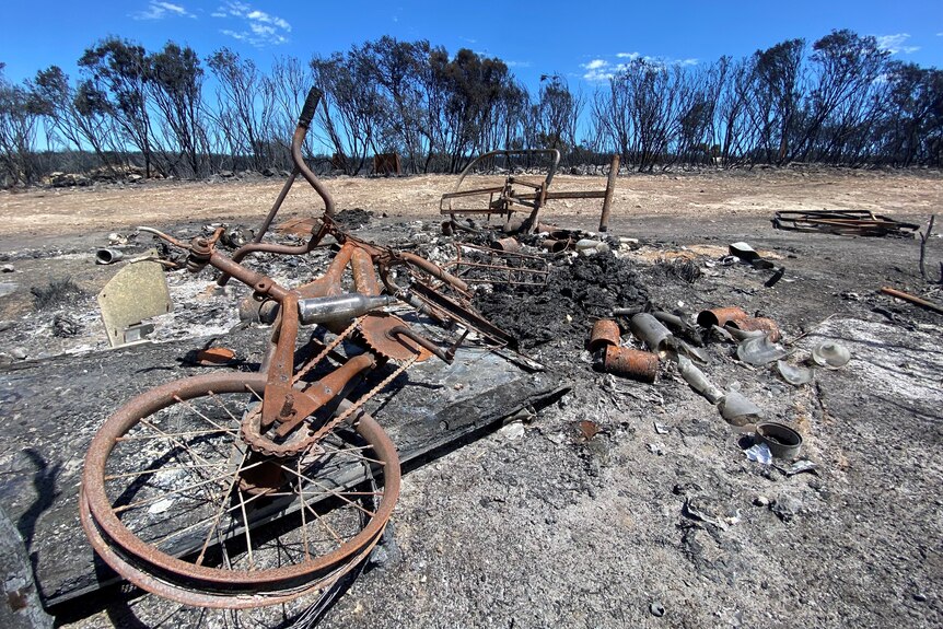 Pile of burnt things including a child's bike in front of burnt black trees