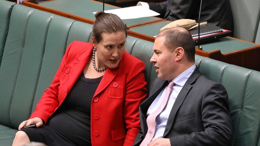 Kelly O'Dwyer and Josh Frydenberg locked in a conversation as both sit cross-legged on the front bench in the House