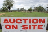 A close-up of an auction sign, with a paddock and house in the background.