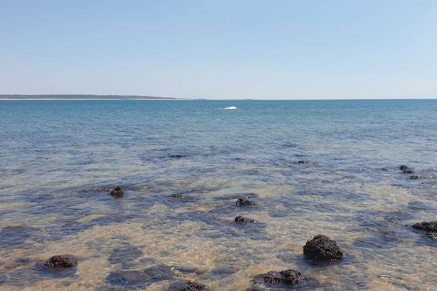 A small boat is seen out at sea from the shallows