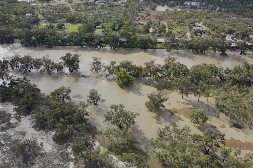 The Darling River nearing homes at Menindee in far west NSW