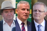 Composite photo of Barnaby Joyce, Michael McCormack and Scott Morrison