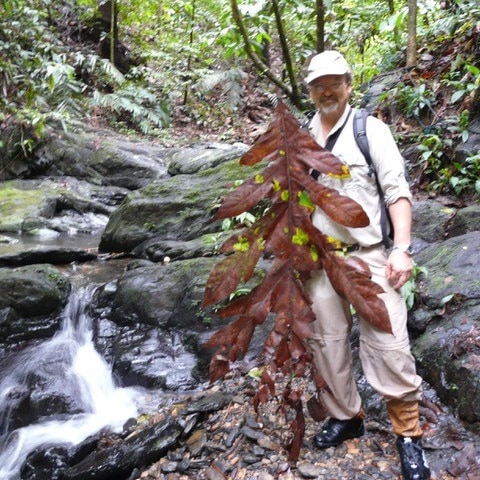 A man with cap and backpack standing next to a strange plant with long leaves.