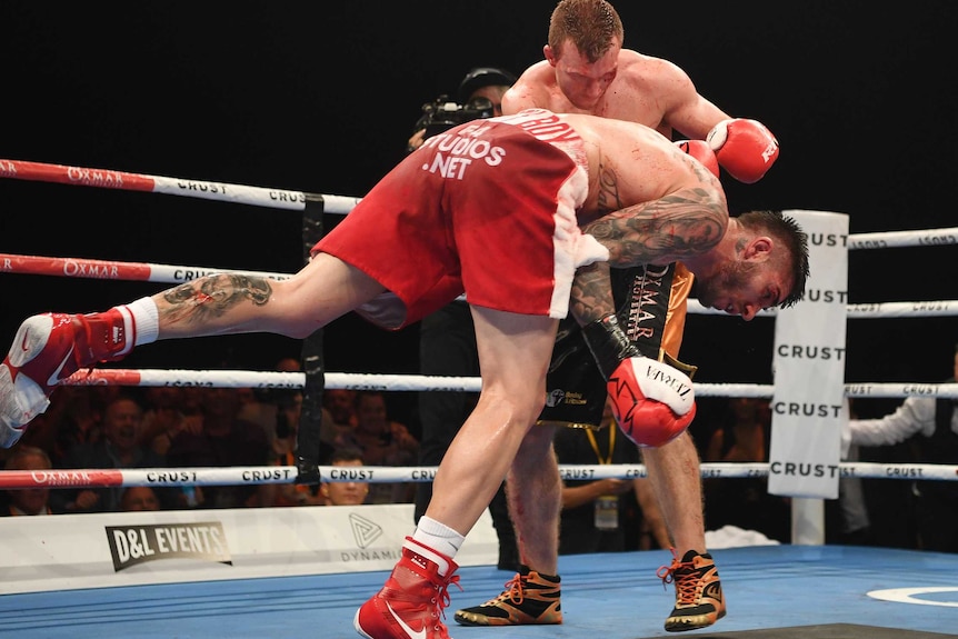 Boxer Michael Zerafa crashes to the canvas after being hit with a huge right hand from Jeff Horn.