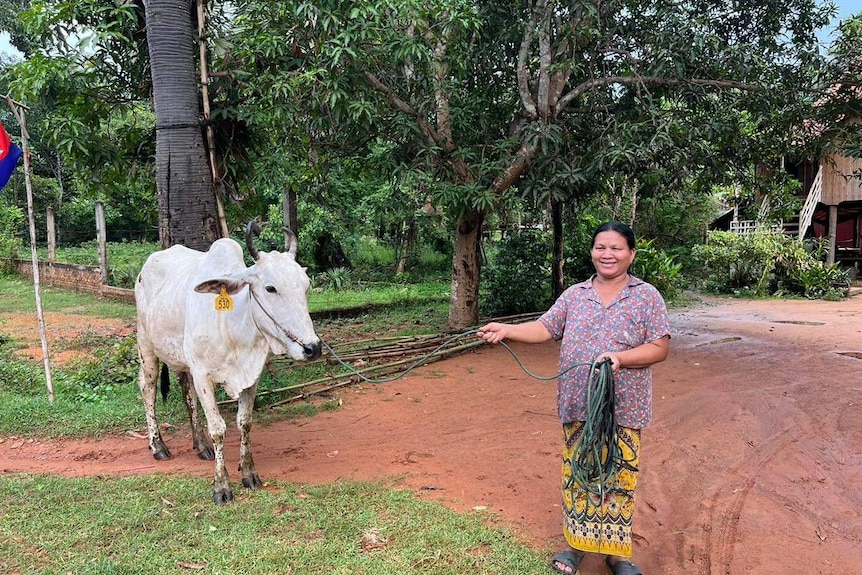Photo of a woman with a cow.