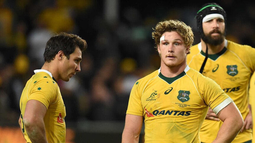 Nick Phipps and Michael Hooper look on after Wallabies loss