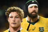 Nick Phipps and Michael Hooper look on after Wallabies loss
