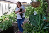 Susan West carries a chicken in her backyard.
