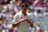 An Australian Test bowler looks down at a pink cricket ball as he uses his finger to shine it.
