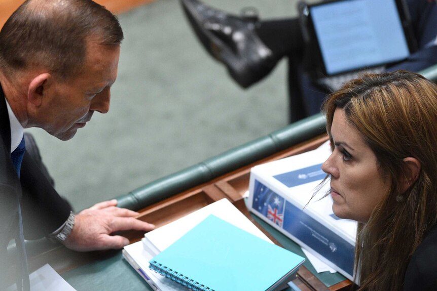 View from above of Tony Abbott speaking with Credlin in the House of Representatives chamber.