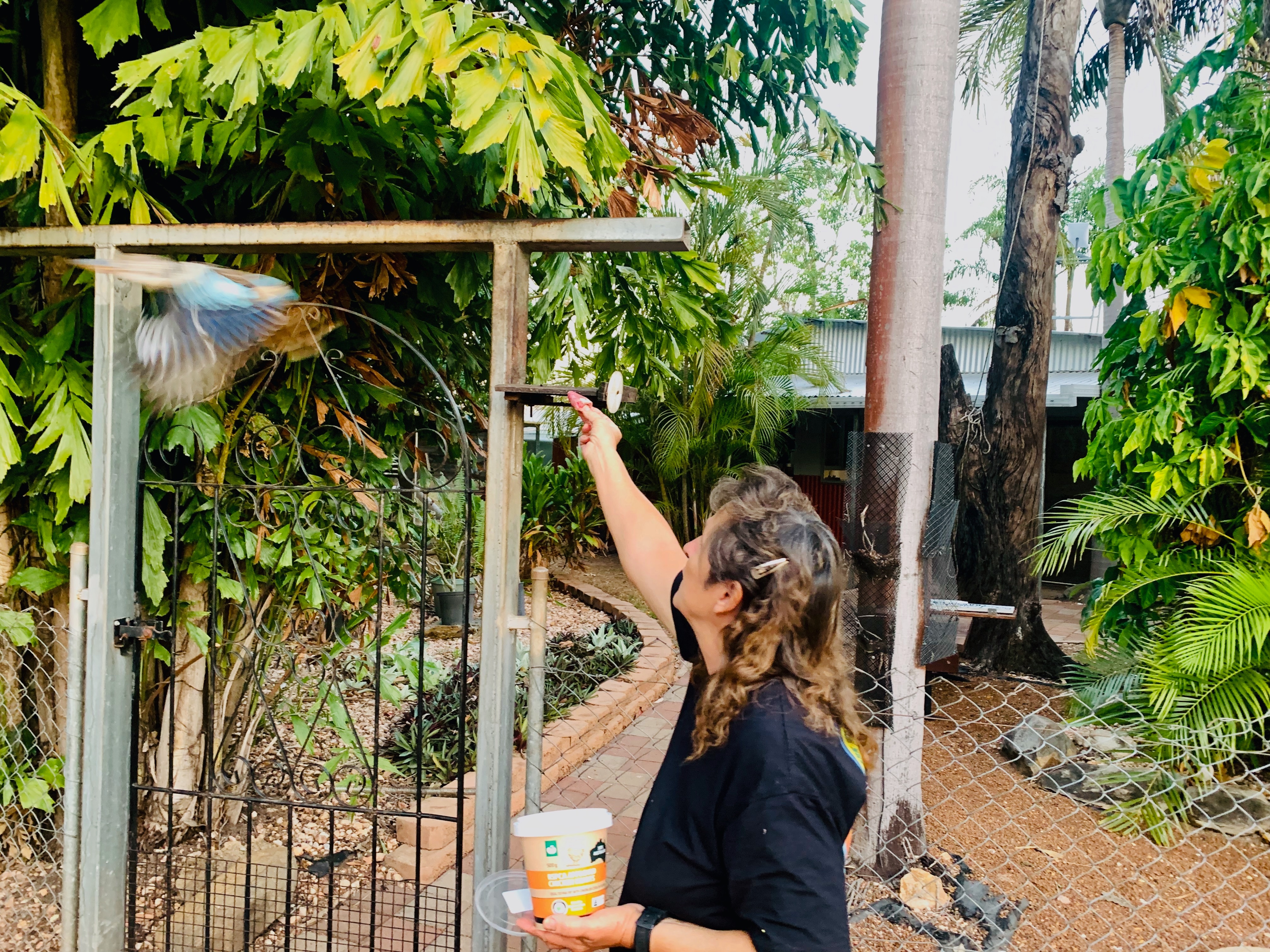 Uma mulher se aproxima de um pássaro num borrão de movimento.