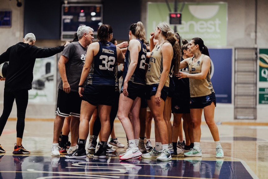 WNBL coach in a huddle with his team