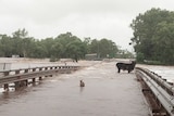 floodwaters cover a bridge which looks bent