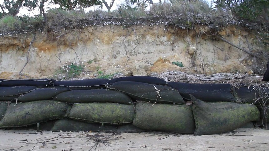 Rangers filled, sewed and placed 2,500 sandbags to protect the midden at the Tomakin from further collapse
