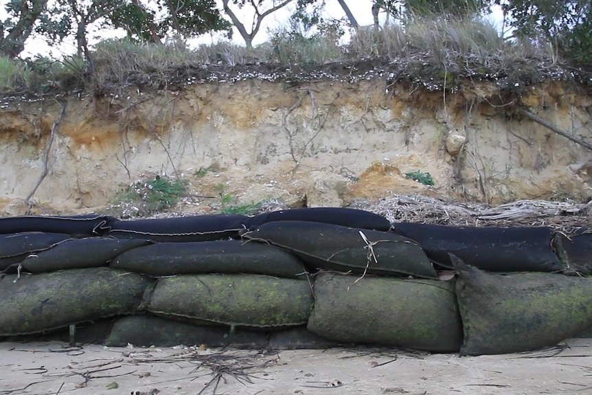Rangers filled, sewed and placed 2,500 sandbags to protect the midden at the Tomakin from further collapse
