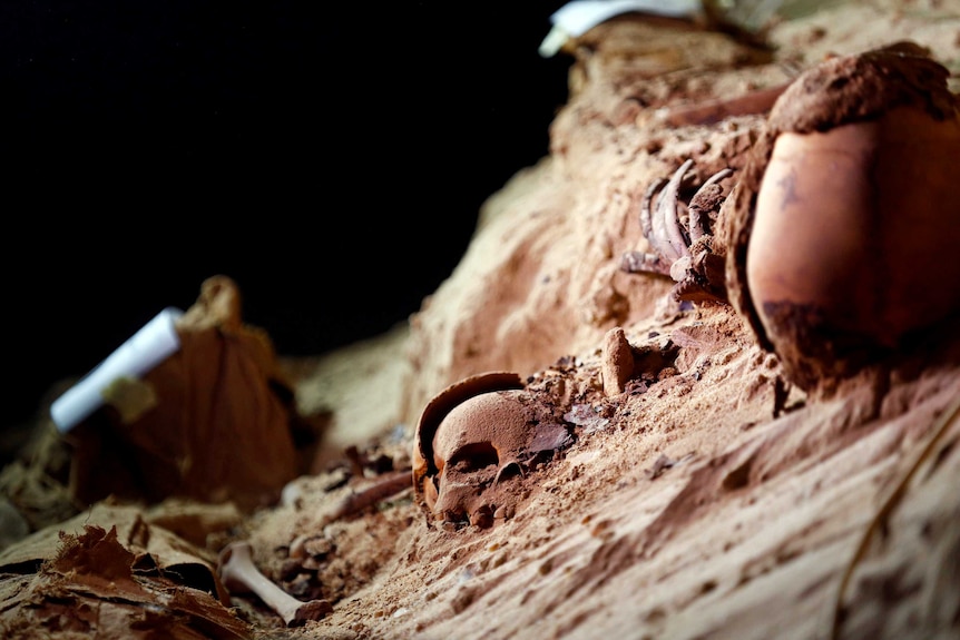 Skulls buried in the sand.