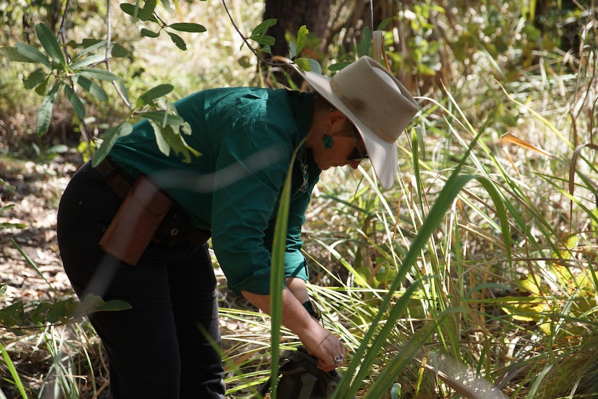 A woman wearing an Akubra hat crouches down to remove a camera from long grass.
