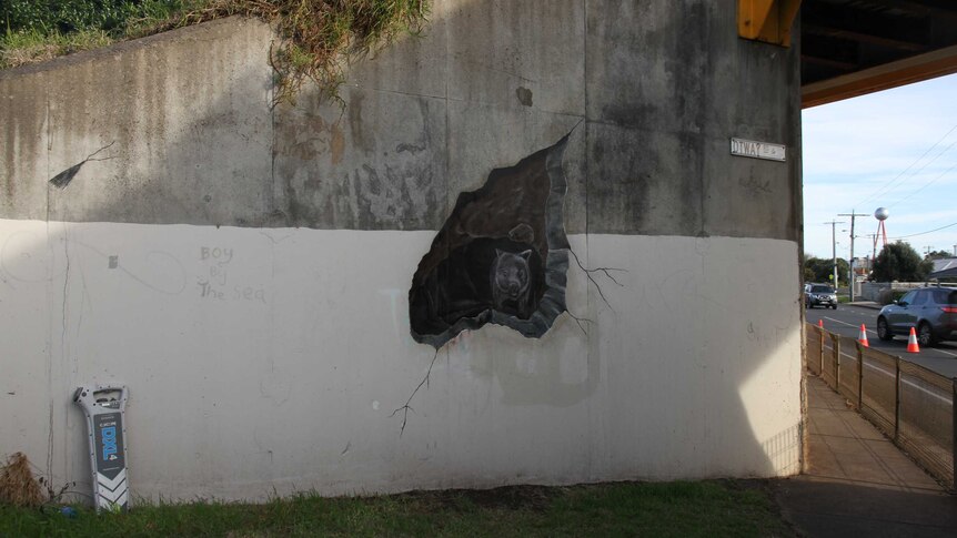 A piece of street art shows a wombat emerging from cave drawn on the side of a railway bridge.