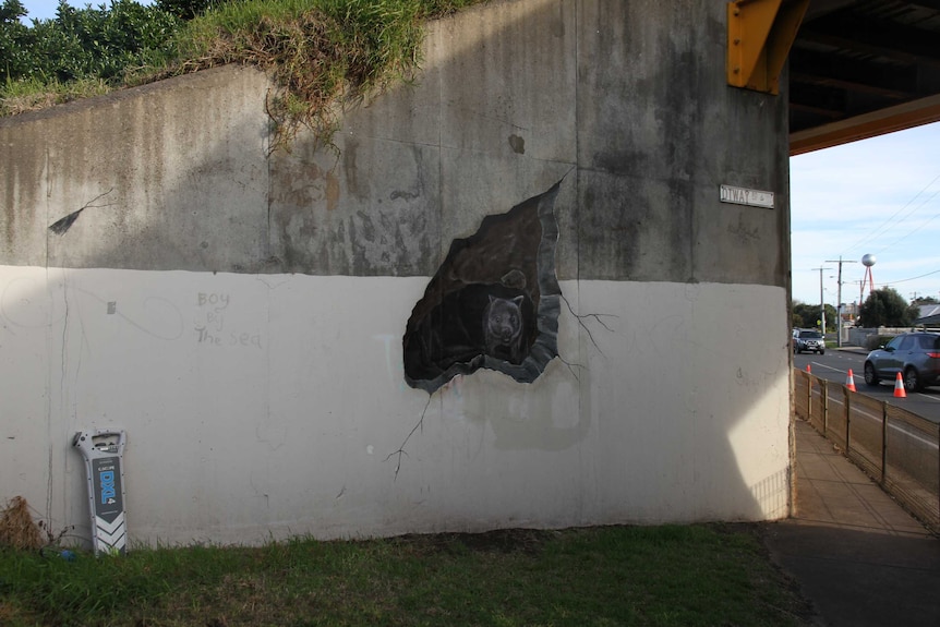 A piece of street art shows a wombat emerging from cave drawn on the side of a railway bridge.
