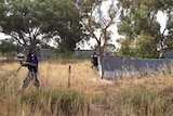 Police search Badgingarra property for missing teen Hayley Dodd