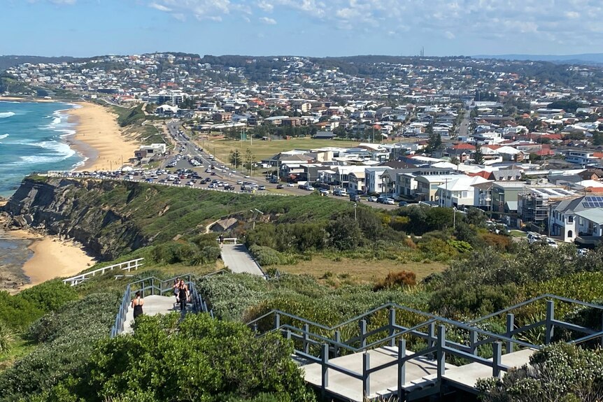 A view of a beach and nearby suburb with a raised walkway through scrub in the foreground.