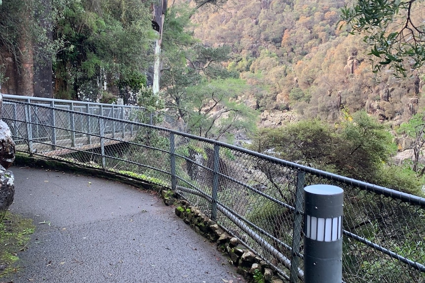 One of many walking tracks in the Launceston gorge