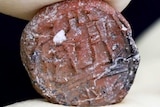 A close-up photograph of a coin-sized ancient seal.