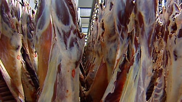 Hanging meat