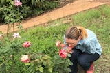 Smelling the roses