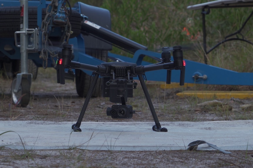 The koala-spotting drone