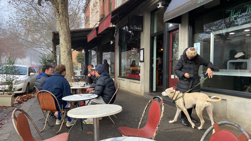 Four young men sit around an outdoor cafe table with coffees as a person walks their dog down the footpath.