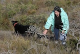 Patsy Cameron, Tomahawk Tasmania