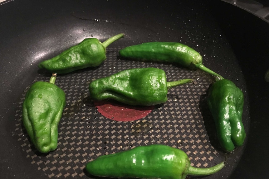 Pimientos de Padrón peppers frying in olive oil