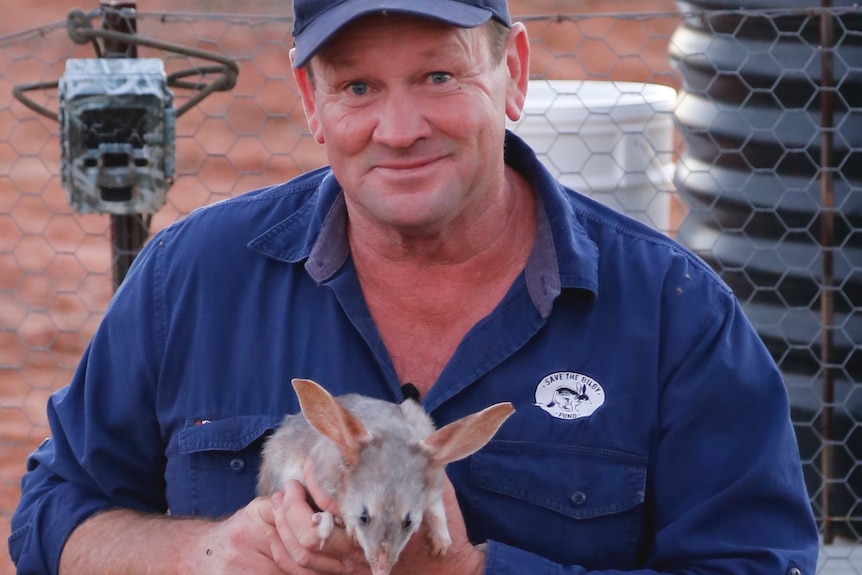 Man holding bilby ready to release in Currawinya National Park
