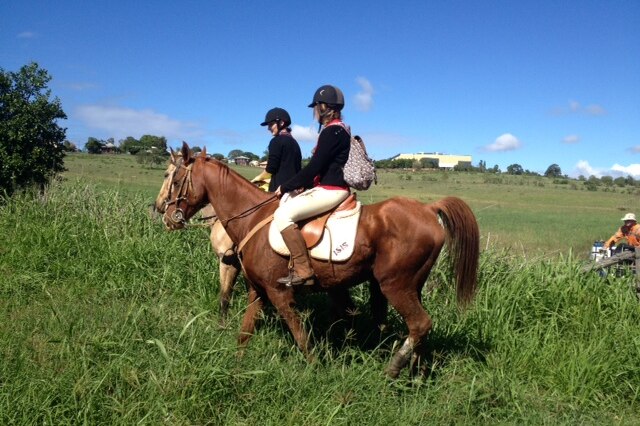 Volunteers on horseback help in the search for missing Childers three-year-old Chloe Campbell.