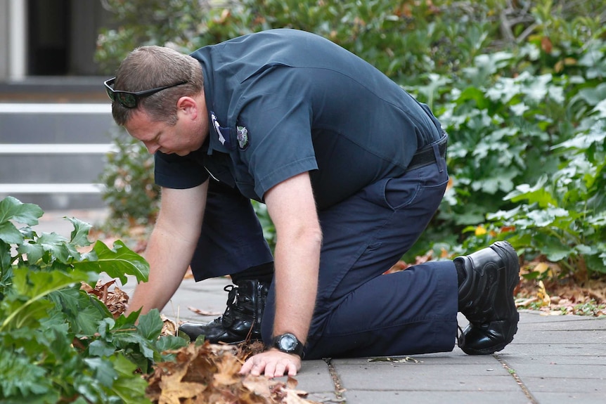 A police officer crouches on a path and looks into the garden at the Buckingham Service Apartments in Brighton