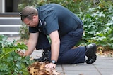 A police officer crouches on a path and looks into the garden at the Buckingham Service Apartments in Brighton